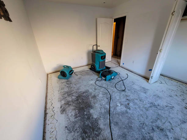 Best Basement water damage restoration  in Scottsdale, AZ