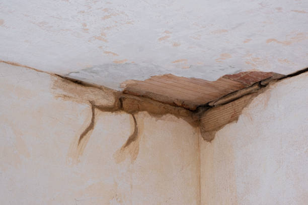 Best Water damage restoration company  in Scottsdale, AZ