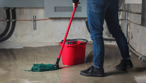 Best Flood restoration services  in Scottsdale, AZ